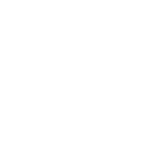 Havaalanı Transferi