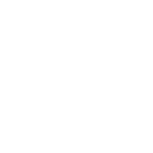 Ortalama Kiralanan Araç